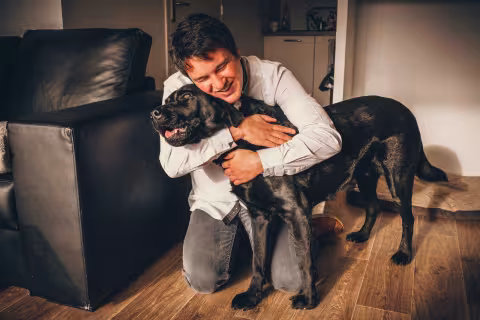Chien guide d'aveugle