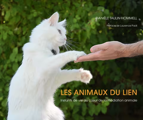  Livre Les animaux du lien- Instants de vie au coeur de la médiation animale